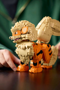 Arcanine (1190+pcs)