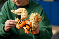Arcanine (1190+pcs)