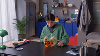 Arcanine (1190+pcs)