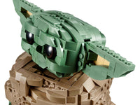The Child (1073+pcs)