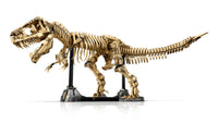 Dinosaur Fossils: Tyrannosaurus rex (3145+pcs)