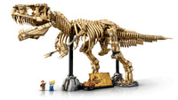 Dinosaur Fossils: Tyrannosaurus rex (3145+pcs)