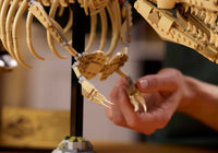Dinosaur Fossils: Tyrannosaurus rex (3145+pcs)