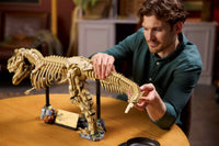 Dinosaur Fossils: Tyrannosaurus rex (3145+pcs)
