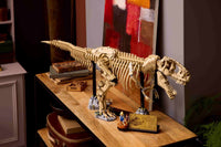 Dinosaur Fossils: Tyrannosaurus rex (3145+pcs)