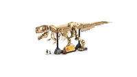 Dinosaur Fossils: Tyrannosaurus rex (3145+pcs)