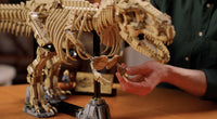 Dinosaur Fossils: Tyrannosaurus rex (3145+pcs)