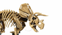 Dinosaur Fossils: Triceratops (1154+pcs)