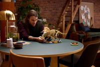 Dinosaur Fossils: Triceratops (1154+pcs)