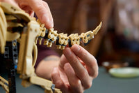Dinosaur Fossils: Triceratops (1154+pcs)