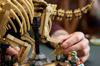 Dinosaur Fossils: Triceratops (1154+pcs)