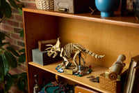 Dinosaur Fossils: Triceratops (1154+pcs)
